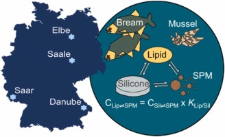 Graphical Abstract