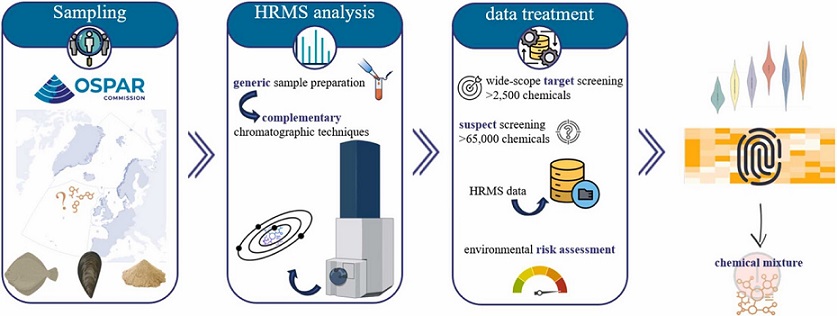Eine grafische Darstellung des oben stehenden Absatzes