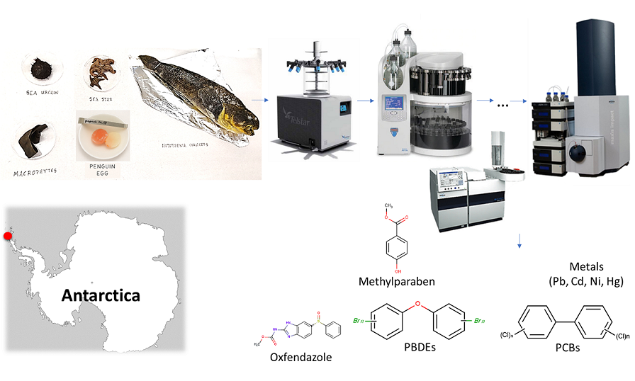 Eine grafische Darstellung der oben stehenden Abschnitte