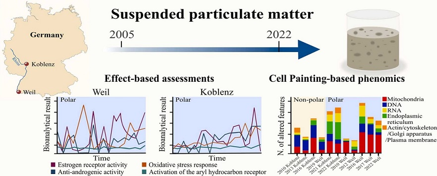 Graphical abstract of suspended particulate matter in the River Rhine Grafische Darstellung der oben stehenden Zusammenfassung