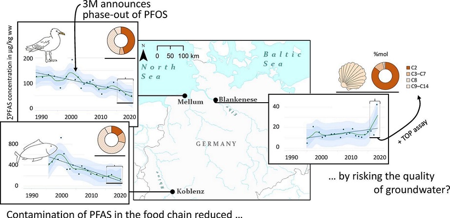 Vier Grafiken, die die Kontamination mit PFAS in der Nahrungskette und im Grundwasser veranschaulichen
