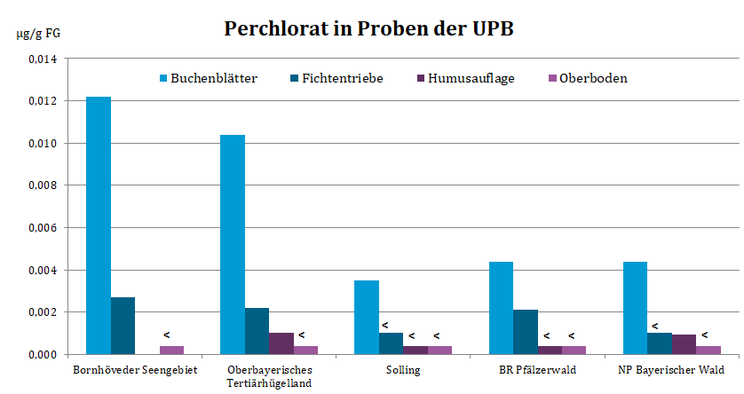 Buchenblätter weisen die höchsten Konzentrationen auf.