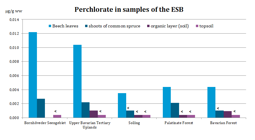 Highest concentrations detected in beech leaves.