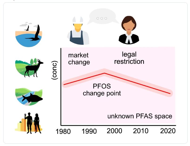 Graphical  representation of the summary above