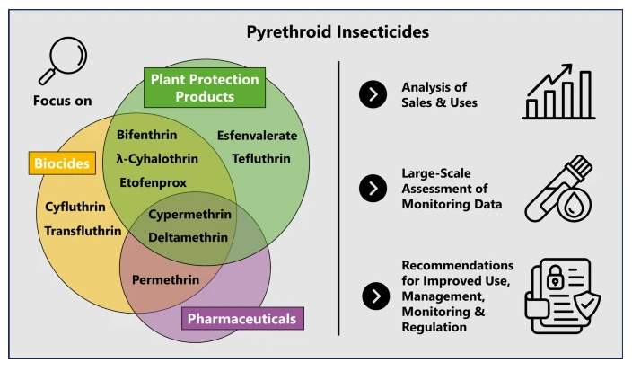 Eine grafische Darstellung der oben stehenden Absätze