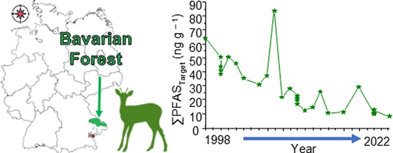 Eine grafische Darstellung der oben stehenden Absätze