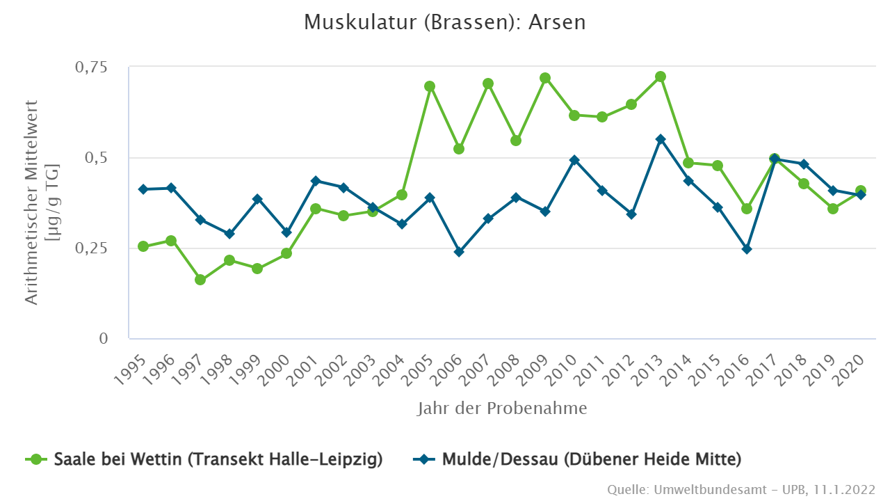 Hohe Arsengehalte finden sich in Brassenmuskulatur von Blankenese (Elbe)