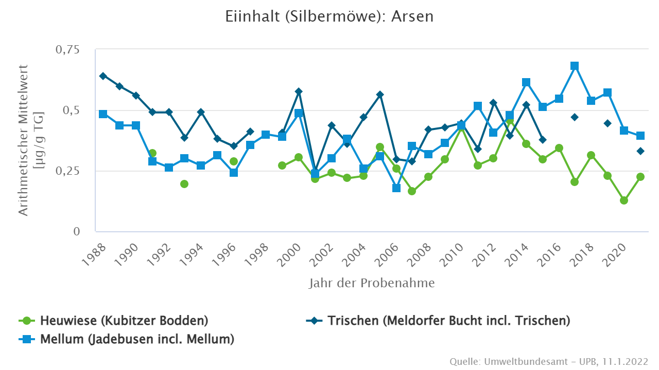 Die Arsenbelastung von Silbermöweneiern hat sich seit Ende der 1980er Jahre nur geringfügig verändert.