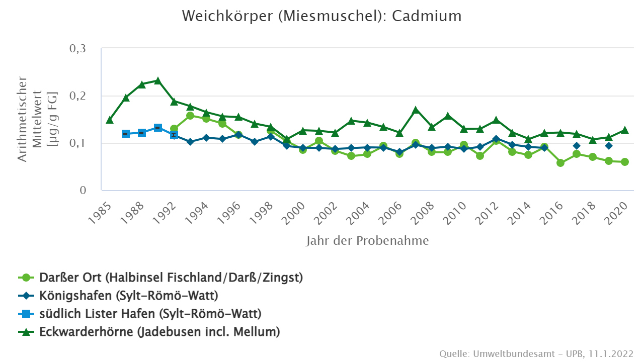 Cadmium in Miesmuscheln aus der Nordsee (Königshafen, südlich Lister Hafen, Eckwarderhörne) und der Ostsee (Darßer Ort) Cadmium in Miesmuscheln aus der Nordsee (Königshafen, südlich Lister Hafen, Eckwarderhörne) und der Ostsee (Darßer Ort)