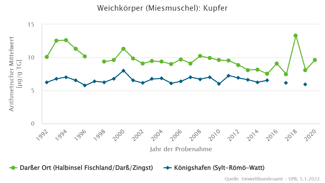 Höherer Kupfergehalt in Miesmuscheln aus der Ostsee