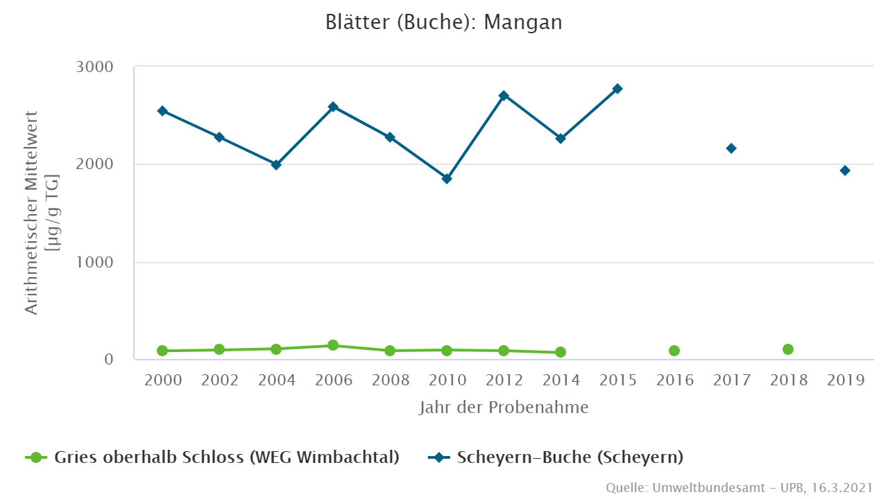 Höhere Mangankonzentrationen in Buchenblättern aus Scheyern
