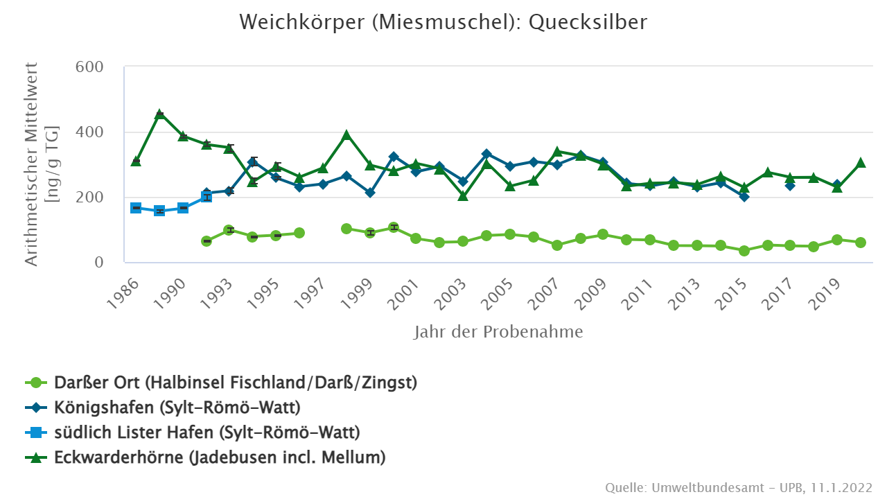 Miesmuscheln von beiden Nordseestandorten deutlich stärker belastet als in der Ostsee