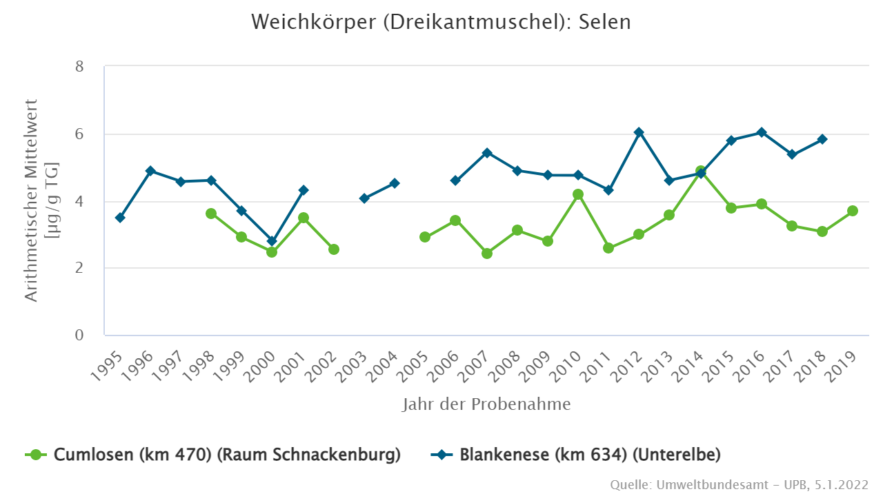 Erhöhte Selengehalte in Muscheln aus der Unterelbe bei Blankenese